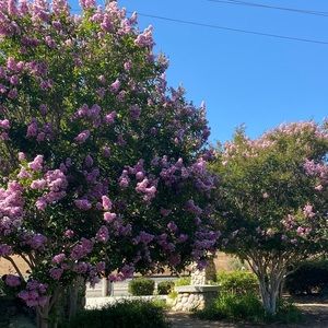 Meet your Posher, Jaydin